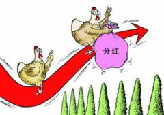 贵州茅台股票k线图及历史走势什么叫卡