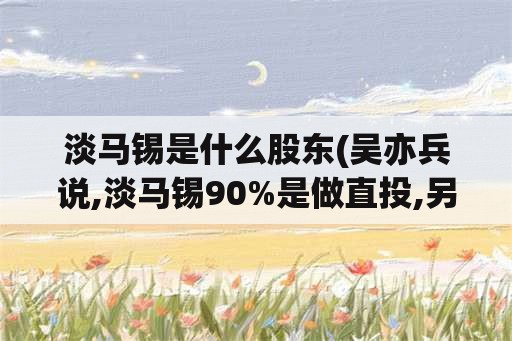 淡马锡是什么股东(吴亦兵说,淡马锡90%是做直投,另外10%与lp合)