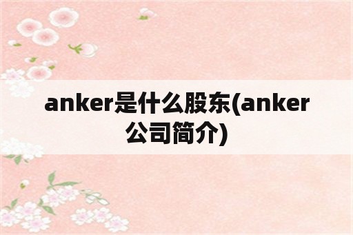 anker是什么股东(anker公司简介)