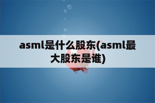 asml是什么股东(asml最大股东是谁)