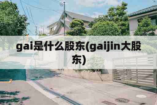 gai是什么股东(gaijin大股东)