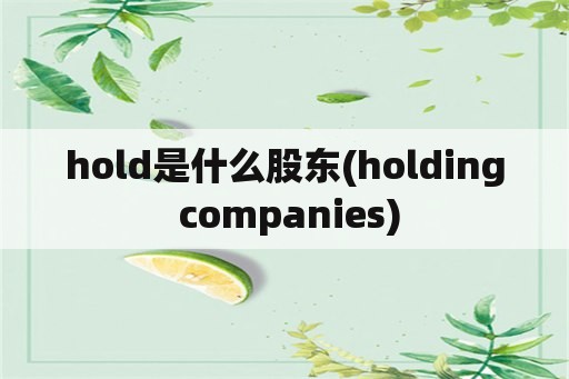 hold是什么股东(holding companies)