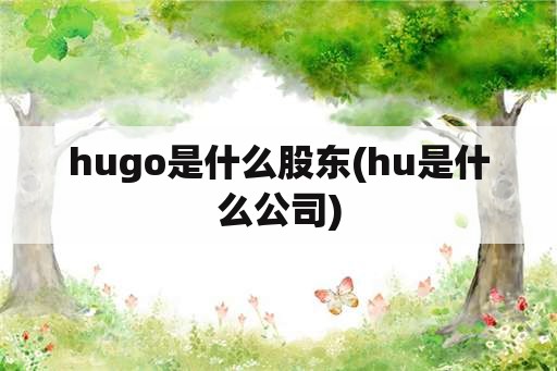 hugo是什么股东(hu是什么公司)