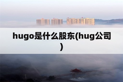 hugo是什么股东(hug公司)