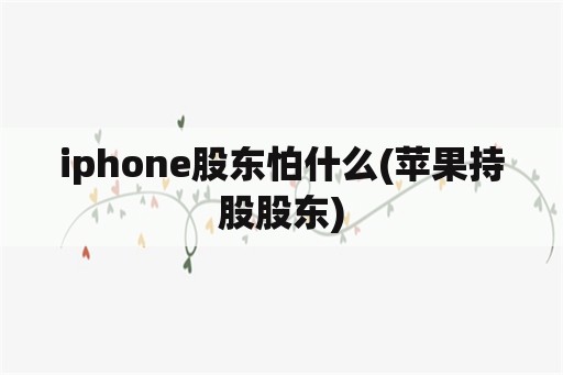 iphone股东怕什么(苹果持股股东)