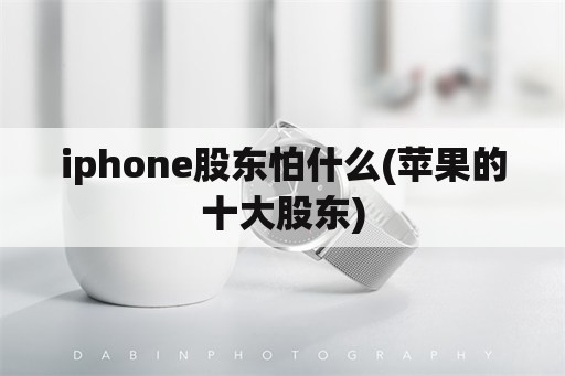 iphone股东怕什么(苹果的十大股东)