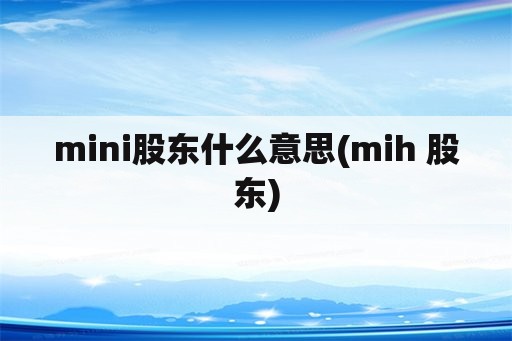 mini股东什么意思(mih 股东)