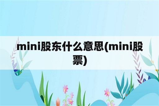 mini股东什么意思(mini股票)