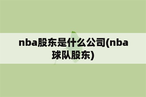 nba股东是什么公司(nba球队股东)