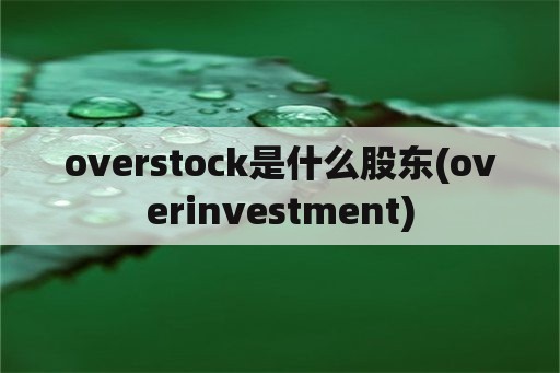 overstock是什么股东(overinvestment)