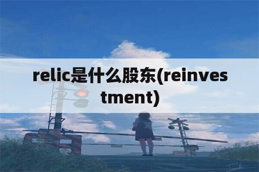 relic是什么股东(reinvestment)