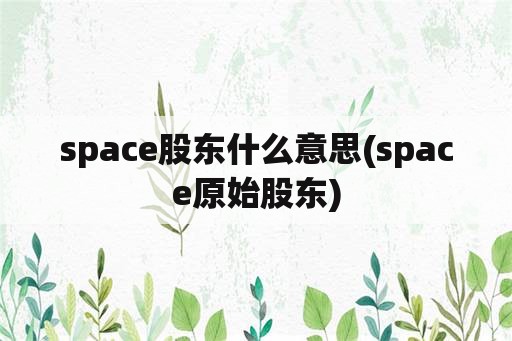 space股东什么意思(space原始股东)