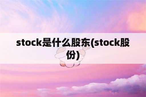 stock是什么股东(stock股份)