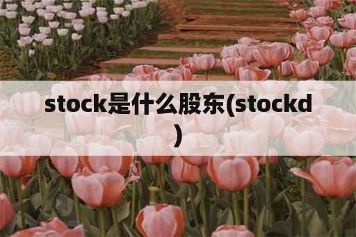 stock是什么股东(stockd)